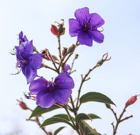 #InteligenciaAmbiental: Todos podemos ser parte del cambio