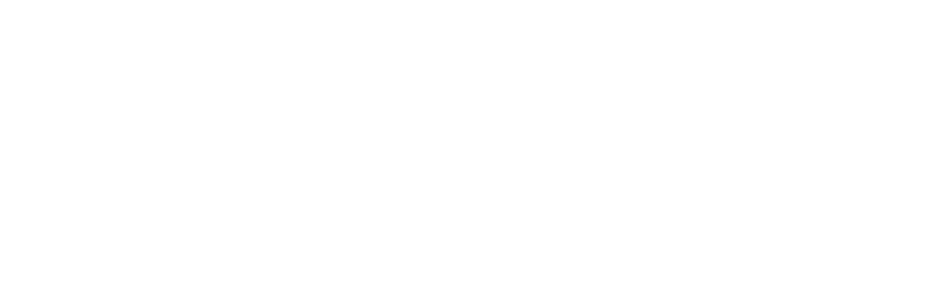LOGO CYZONE-blanco