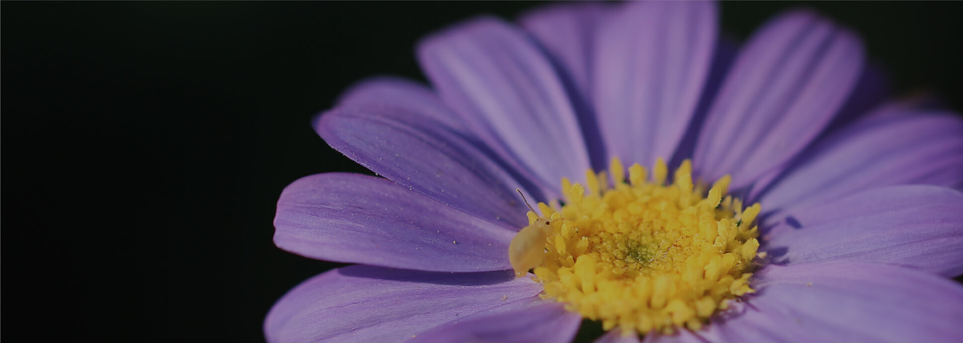 INFORME DE SOSTENIBILIDAD 2023