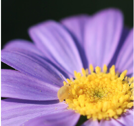 Informe de Sostenibilidad 2023